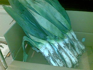 20081205(004).jpg