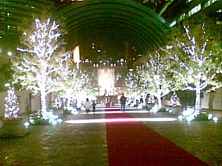 20091116.jpg