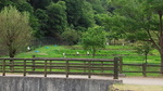 DSC_0430.jpg